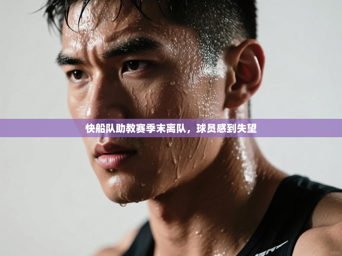 快船队助教赛季末离队，球员感到失望  第2张