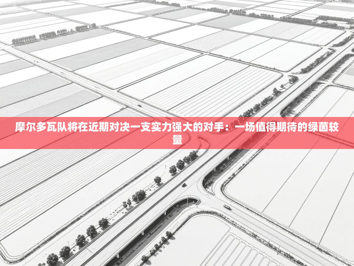 摩尔多瓦队将在近期对决一支实力强大的对手:一场值得期待的绿茵较量 第1张