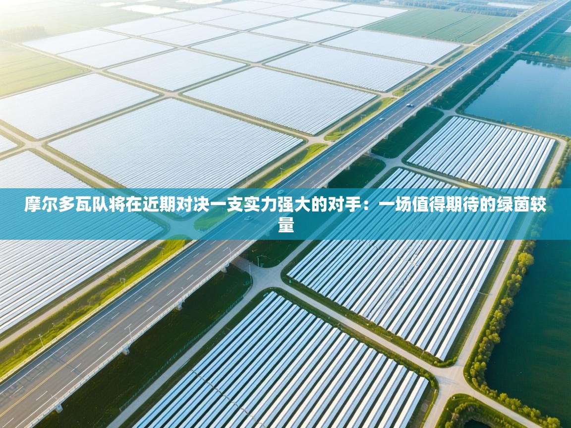 摩尔多瓦队将在近期对决一支实力强大的对手:一场值得期待的绿茵较量 第2张